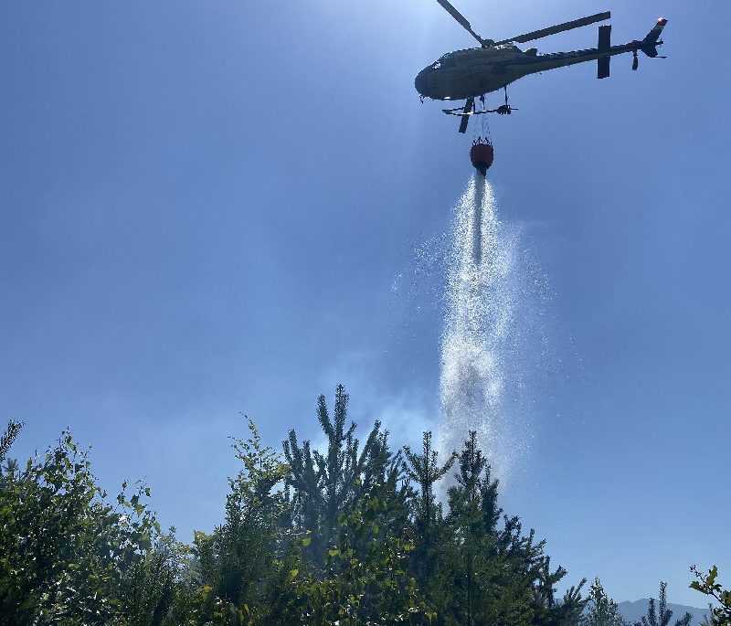 Waldbrand bei sommerlicher Hitze (Bild 3)